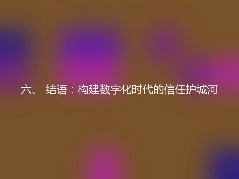 六、 结语：构建数字化时代的信任护城河