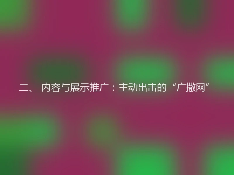 二、 内容与展示推广：主动出击的“广撒网”
