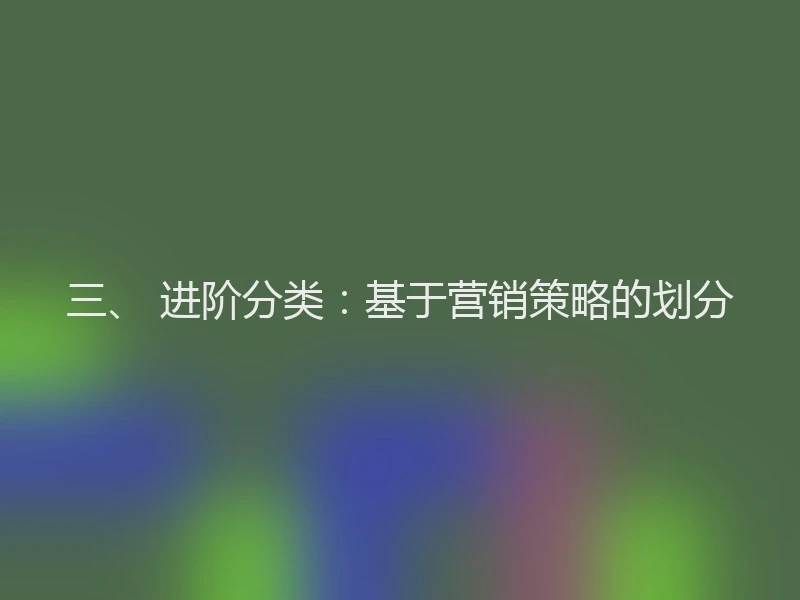 三、 进阶分类：基于营销策略的划分