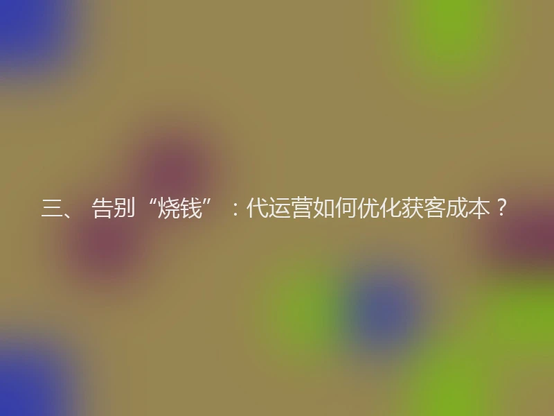 三、 告别“烧钱”：代运营如何优化获客成本？