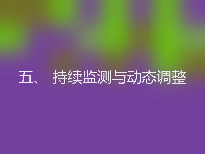 五、 持续监测与动态调整