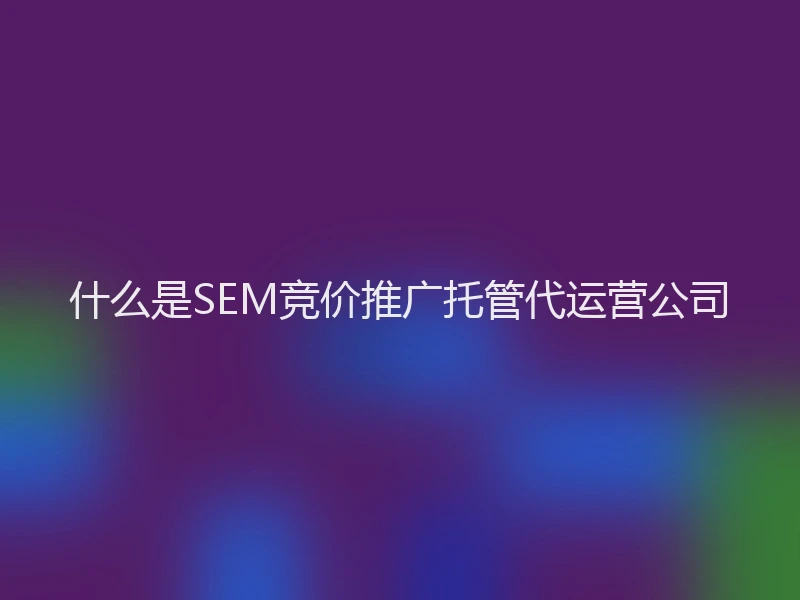什么是SEM竞价推广托管代运营公司