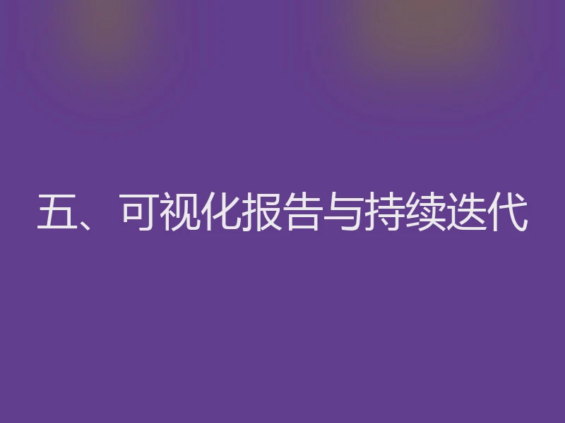 五、可视化报告与持续迭代