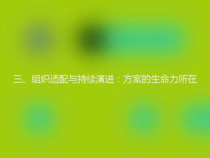 三、组织适配与持续演进:方案的生命力所在