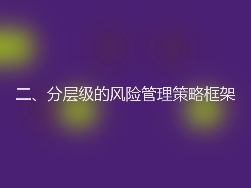 二、分层级的风险管理策略框架