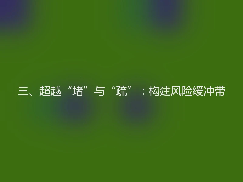 三、超越“堵”与“疏”：构建风险缓冲带