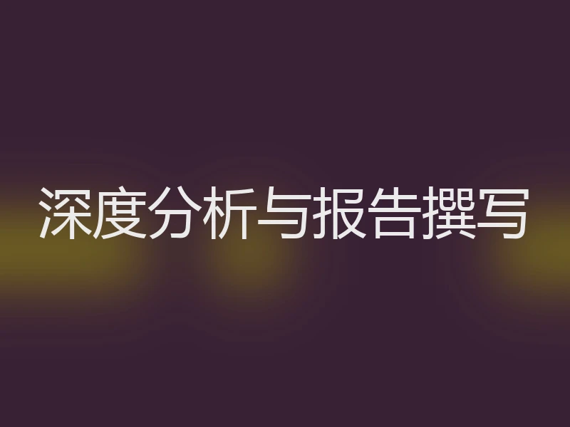深度分析与报告撰写