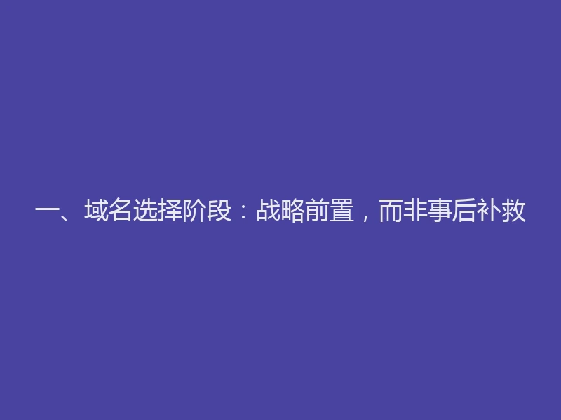 一、域名选择阶段：战略前置，而非事后补救