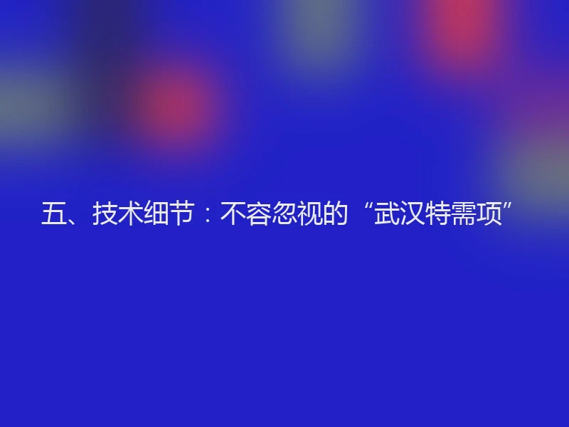 五、技术细节：不容忽视的“武汉特需项”