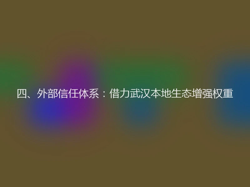四、外部信任体系：借力武汉本地生态增强权重