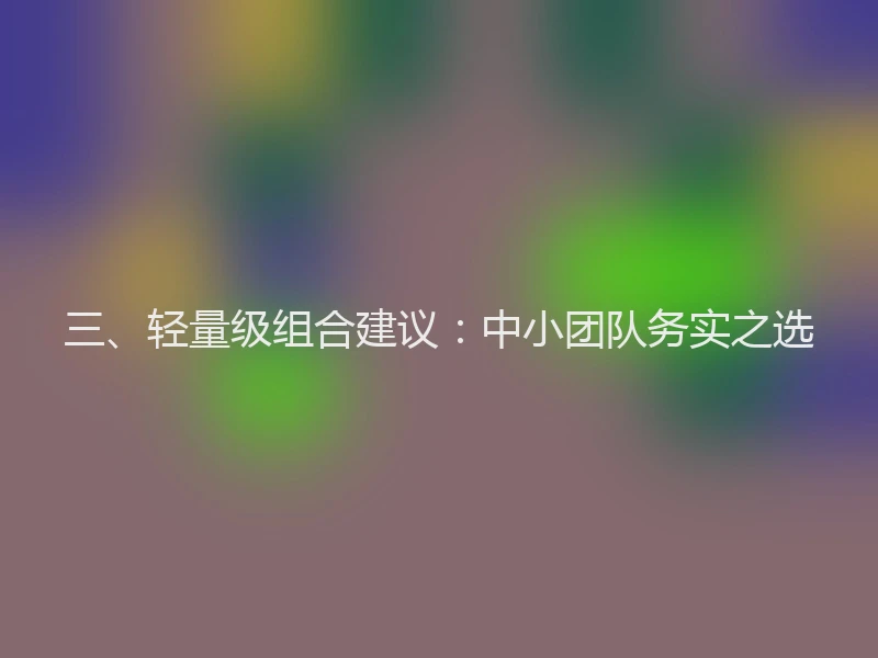 三、轻量级组合建议：中小团队务实之选