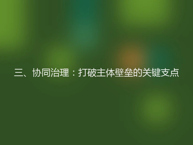 三、协同治理：打破主体壁垒的关键支点