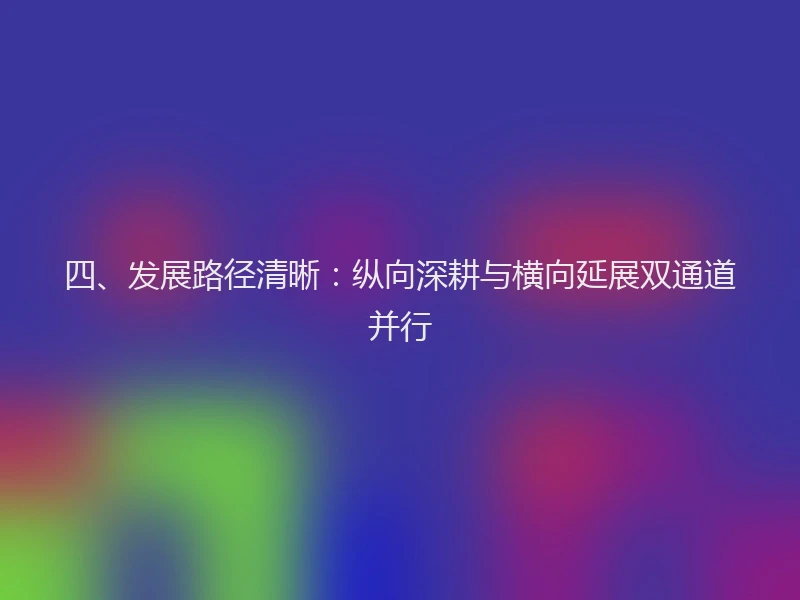 四、发展路径清晰：纵向深耕与横向延展双通道并行