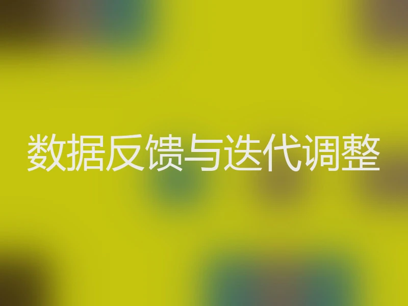 数据反馈与迭代调整