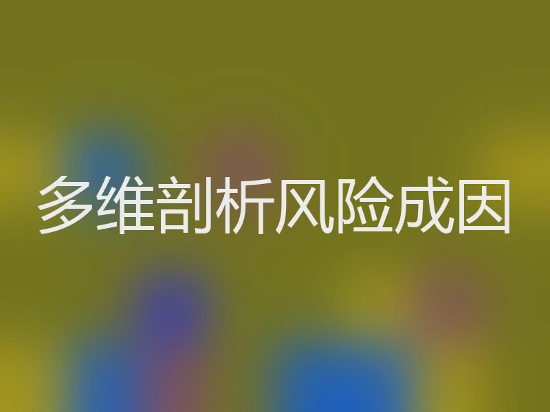 多维剖析风险成因