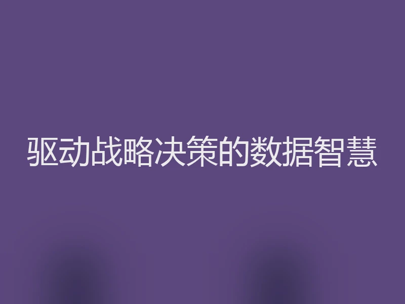 驱动战略决策的数据智慧