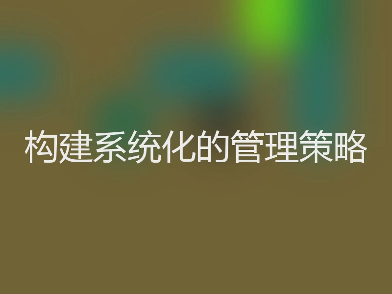 构建系统化的管理策略