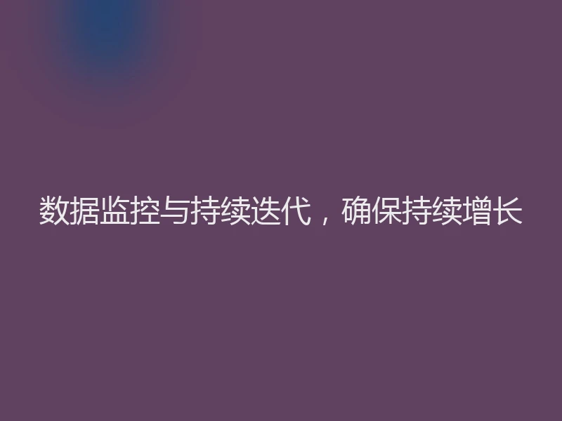 数据监控与持续迭代，确保持续增长