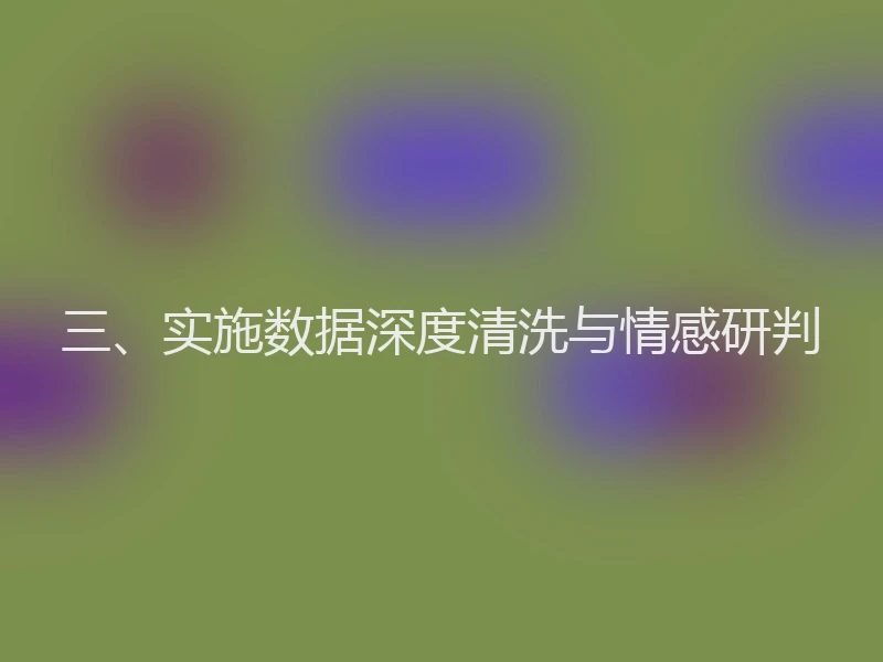 三、实施数据深度清洗与情感研判