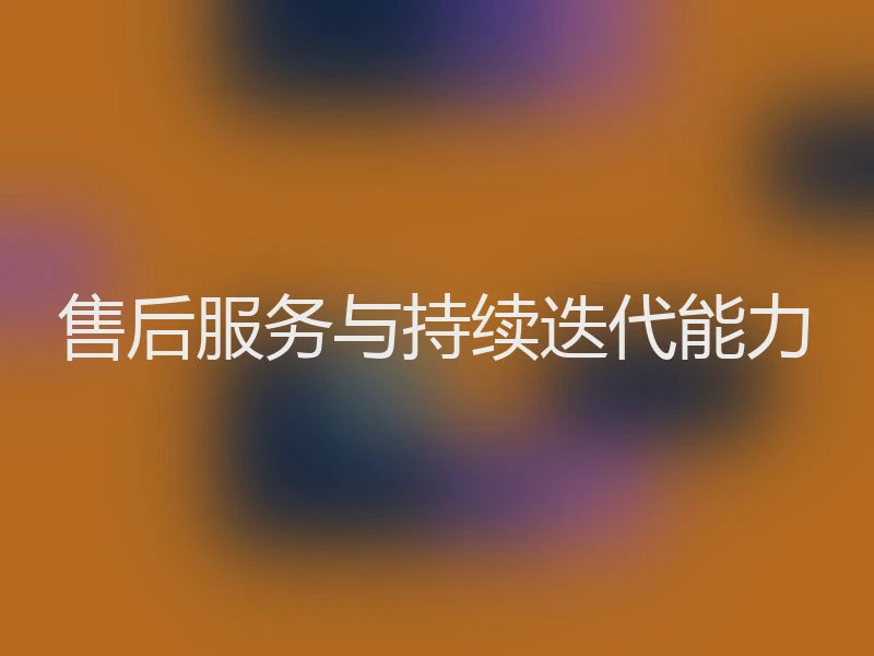 售后服务与持续迭代能力