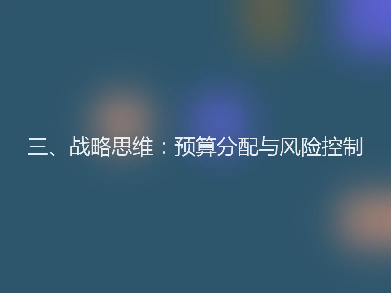 三、战略思维：预算分配与风险控制