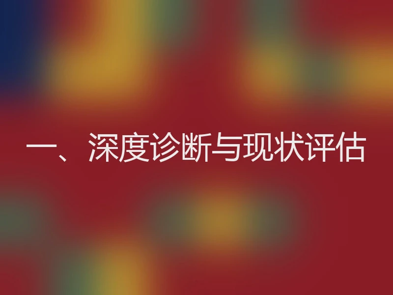 一、深度诊断与现状评估