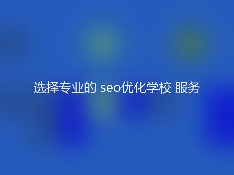 选择专业的 seo优化学校 服务