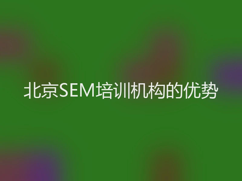 北京SEM培训机构的优势