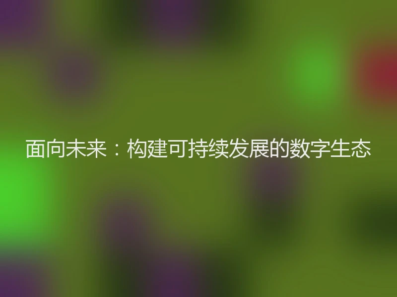 面向未来：构建可持续发展的数字生态