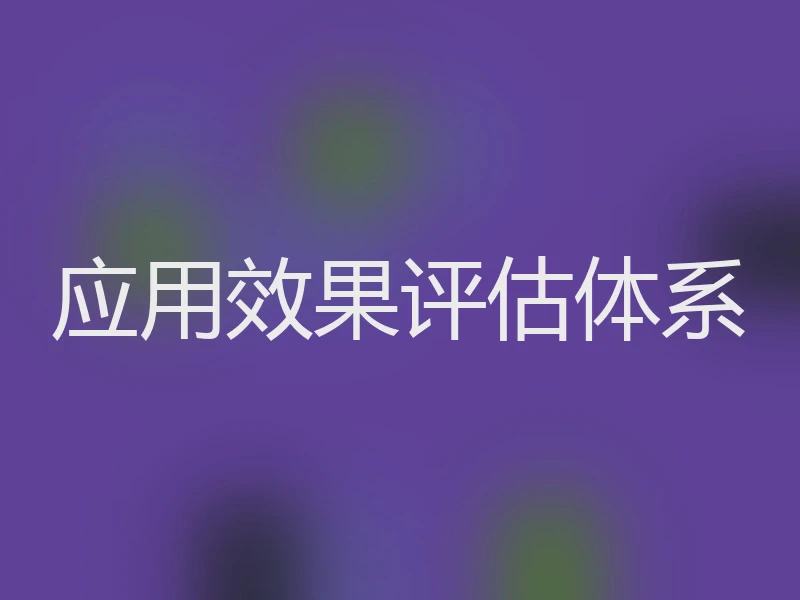 应用效果评估体系