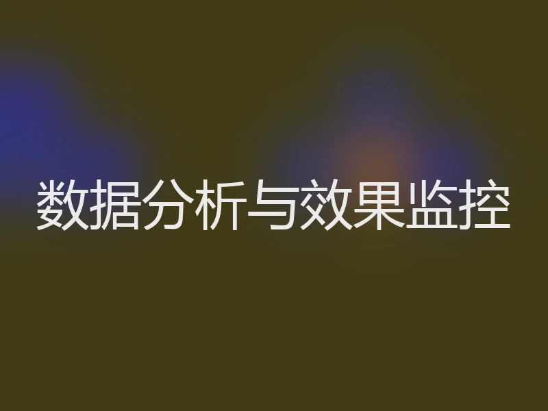 数据分析与效果监控