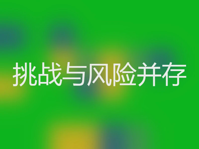 挑战与风险并存