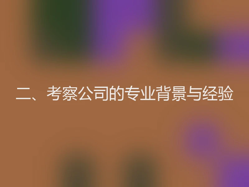 二、考察公司的专业背景与经验