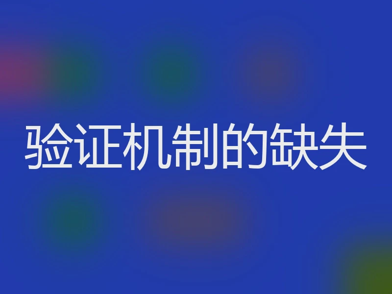 验证机制的缺失