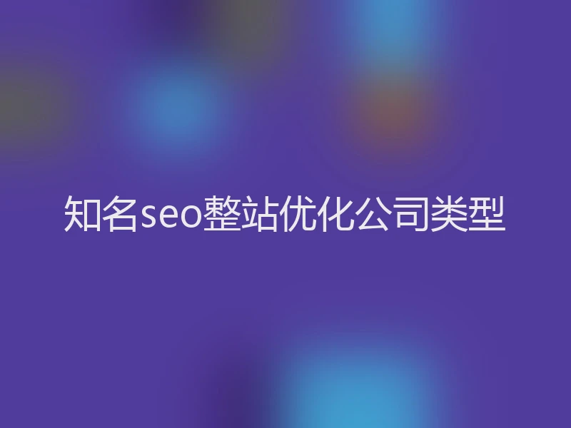 知名seo整站优化公司类型