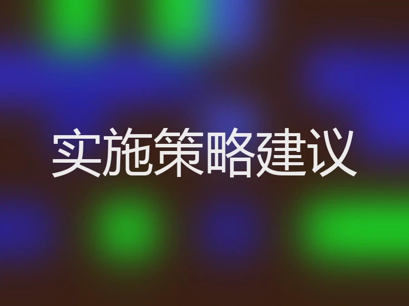 实施策略建议