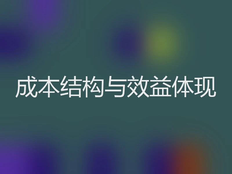成本结构与效益体现