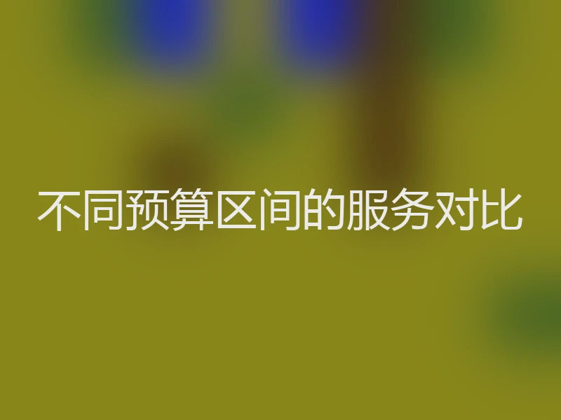 不同预算区间的服务对比