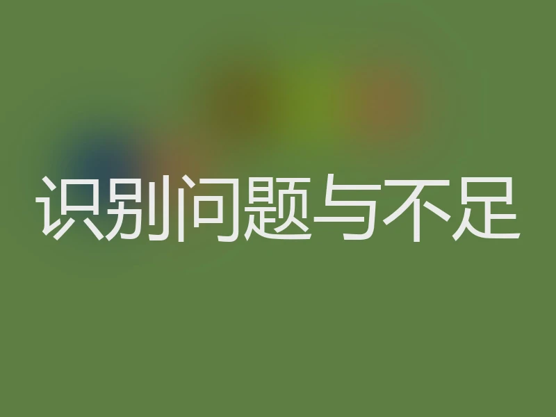 识别问题与不足