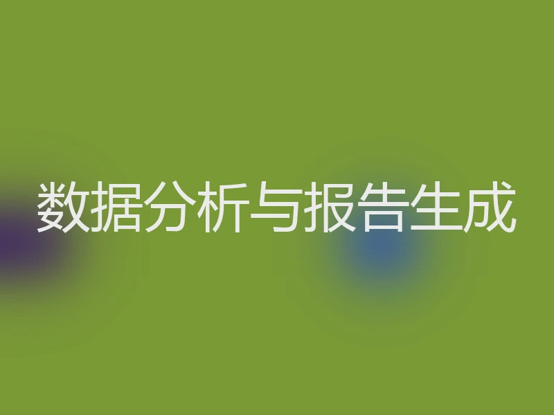数据分析与报告生成
