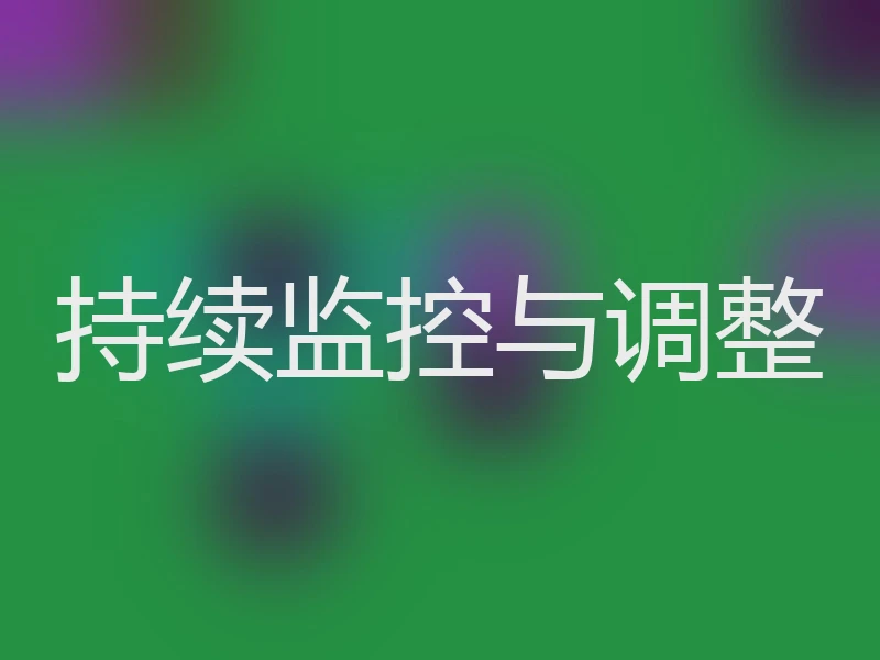 持续监控与调整