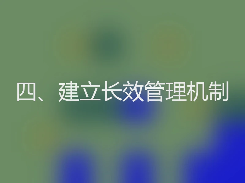 四、建立长效管理机制