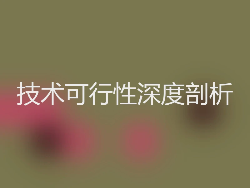 技术可行性深度剖析