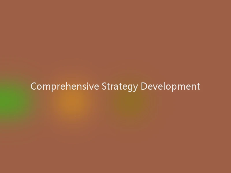Comprehensive Strategy Development