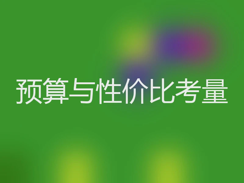 预算与性价比考量