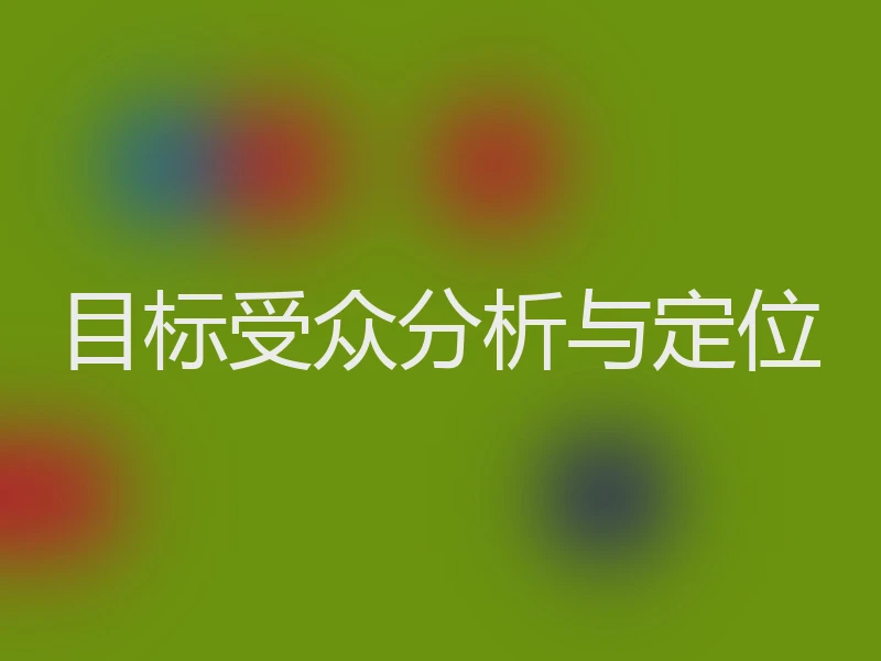 目标受众分析与定位