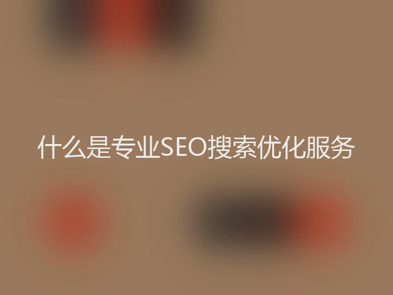 什么是专业SEO搜索优化服务