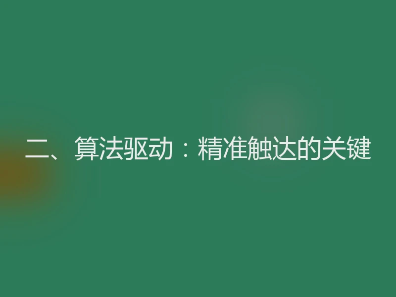 二、算法驱动：精准触达的关键