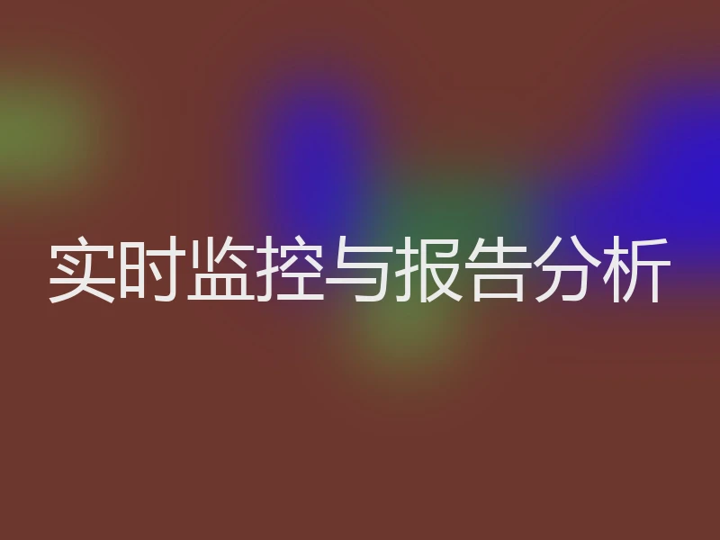 实时监控与报告分析