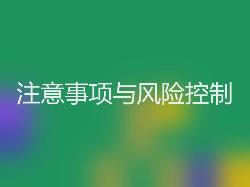 注意事项与风险控制